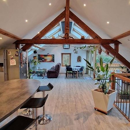 Bel Appartement 120 M² Tres Lumineux Avec Terrasse Morvillars Exteriör bild