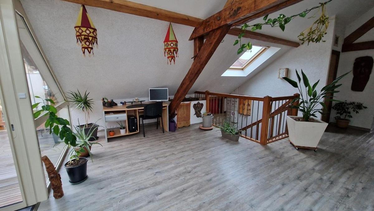 Bel Appartement 120 M² Tres Lumineux Avec Terrasse Morvillars Exteriör bild